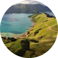Aerial view of green hills and water at Marlborough Sounds, highlighting travel insurance for New Zealand trips