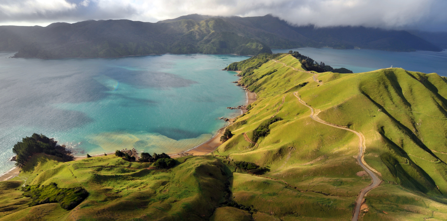 Aerial view of green hills and water at Marlborough Sounds, highlighting travel insurance for New Zealand trips
