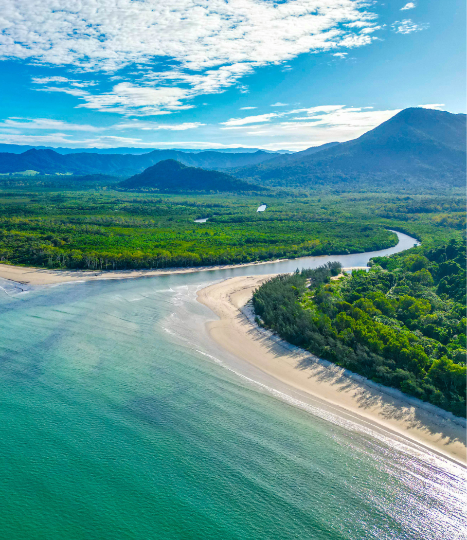 Aerial view of beach and Daintree Rainforest highlighting travel insurance for Australia