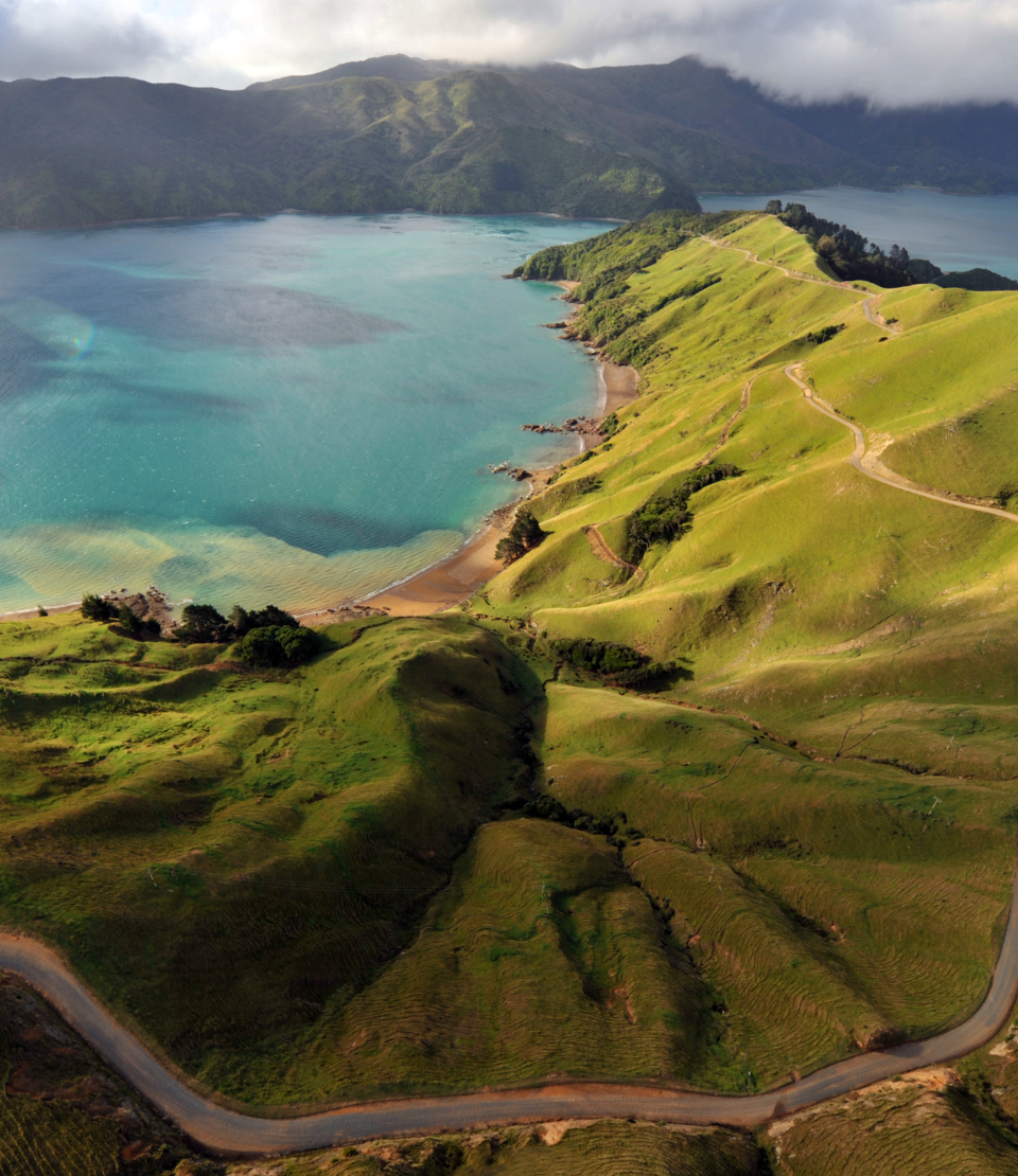 Aerial view of green hills and water at Marlborough Sounds, highlighting travel insurance for New Zealand trips