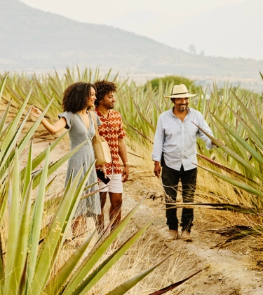 Couple with travel insurance for Mexico touring an agave farm with a farmer