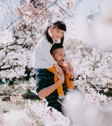 a daughter on a father's shoulders, walking by cherry blossoms with travel insurance for Japan