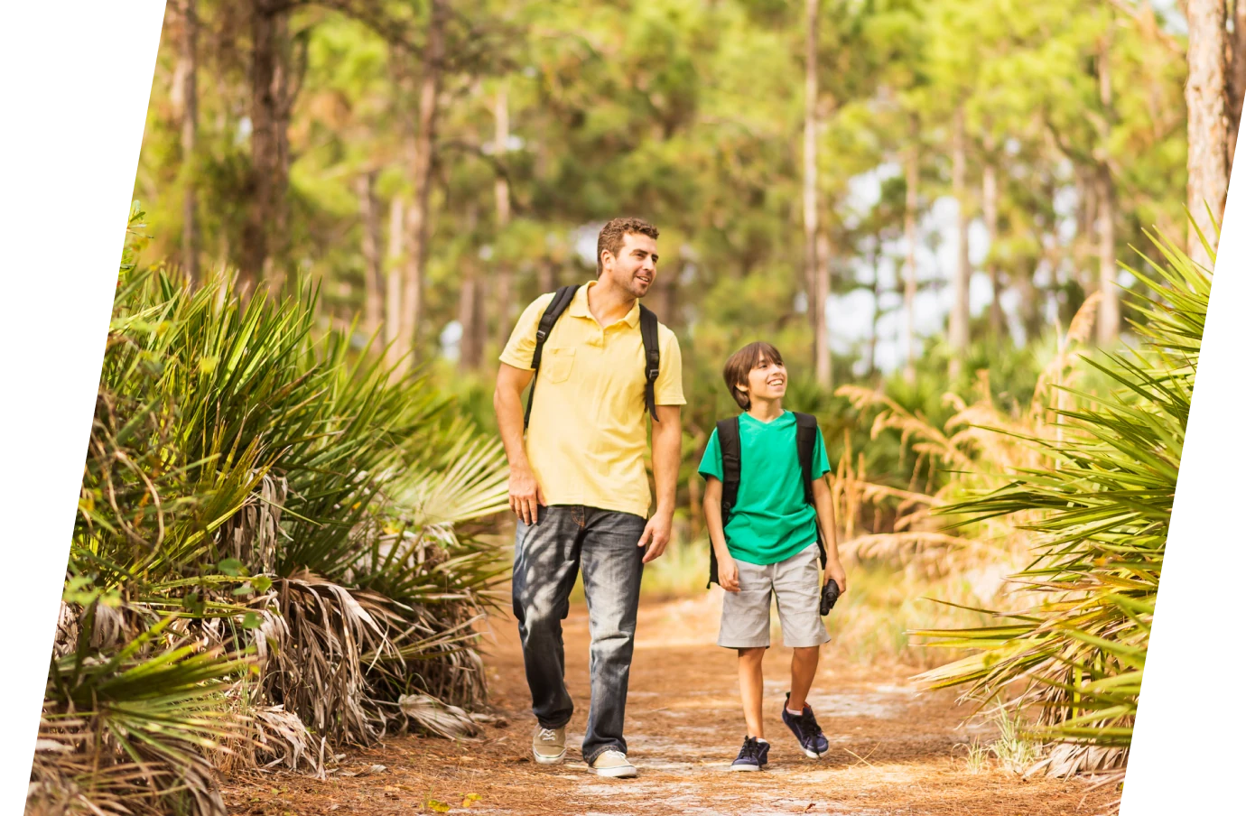 a father-son due with backpacks and domestic travel insurance hike along a wooded trail with palm plants