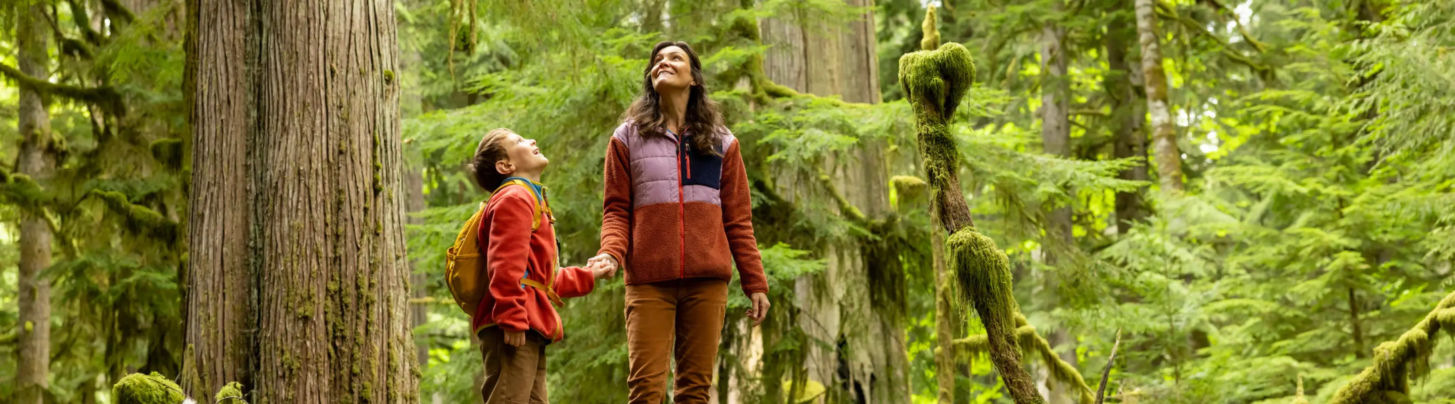 Mother with travel insurance plans holding her son's hand in a forest and looking up at the trees