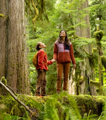 mother with travel insurance plans holding her son's hand in a forest and looking up at the trees