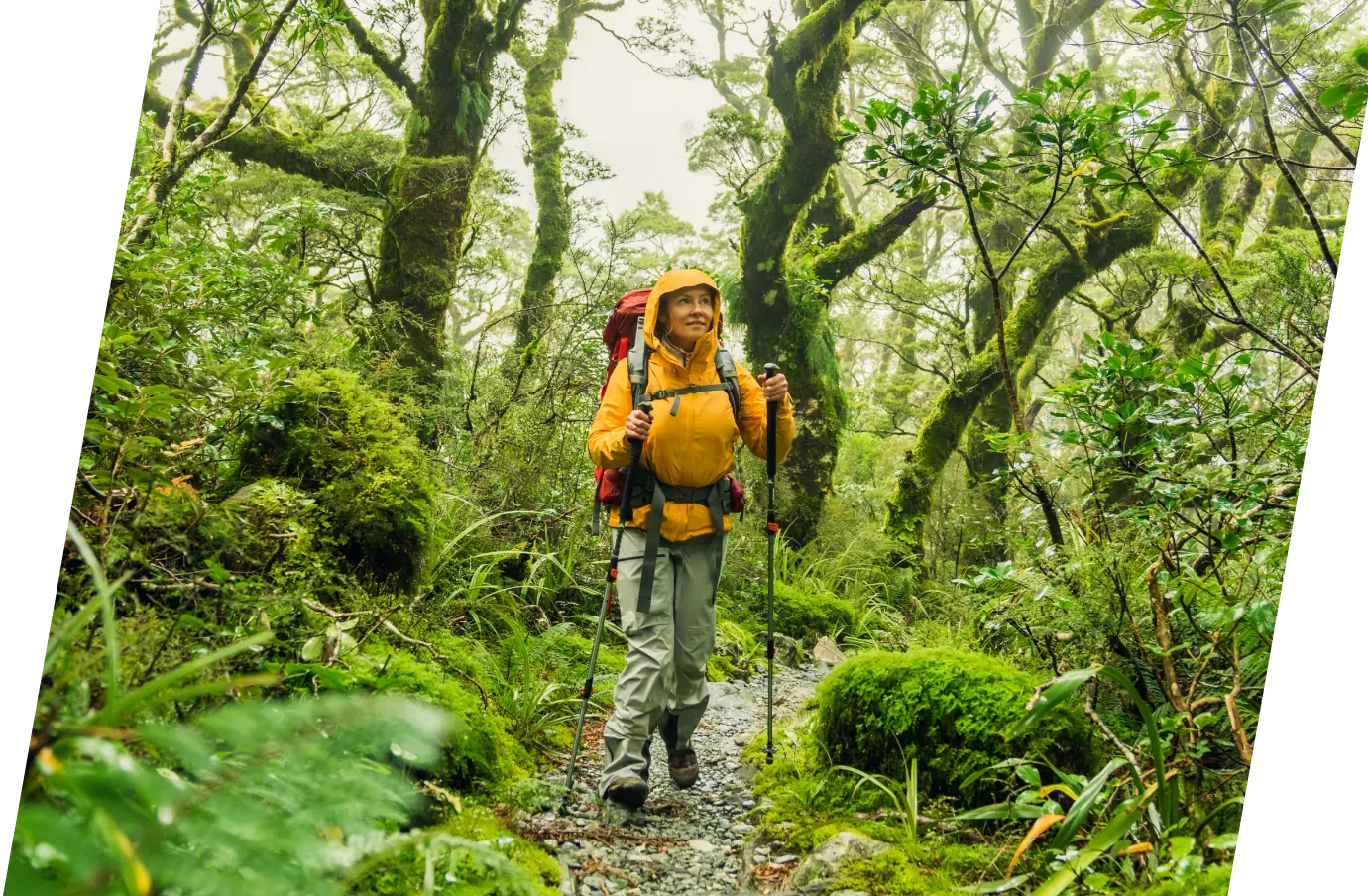a woman with hiking poles and a yellow raincoat, walking through a rainforest with travel insurance for New Zealand