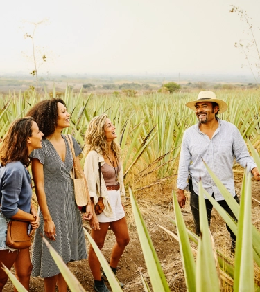a young tour group with travel insurance for cultural trips stands among agave plants with a local guide