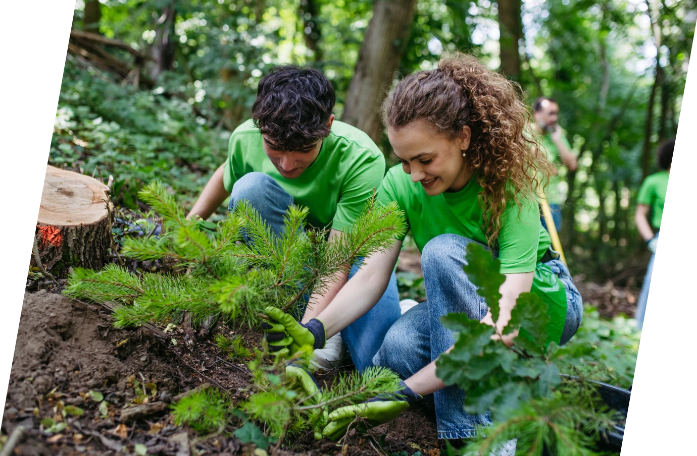 Two people with volunteer travel insurance planting small trees in the forest
