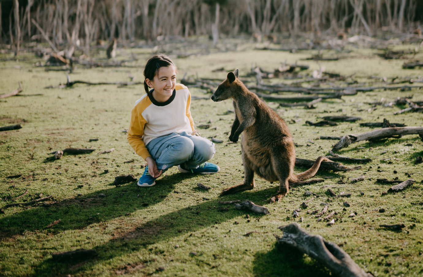 a young, female child crouches down to observe a kangaroo, insured with travel insurance for Australia 