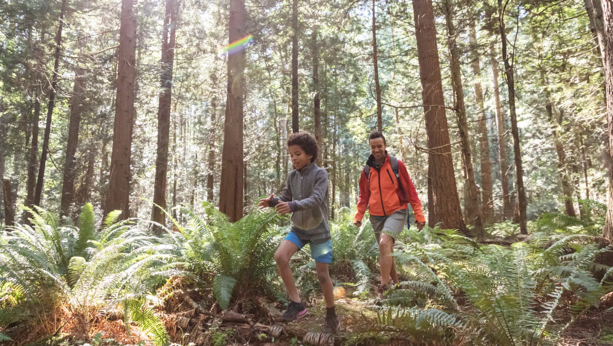 two responsible travelers, a mother and son, hike through a forest in Canada on vacation