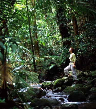 a woman in hiking gear hikes through a tropical rainforest in Queensland, insured with travel insurance for Australia 